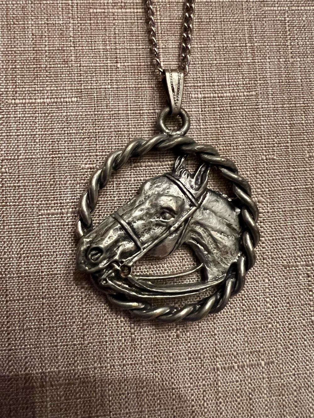 Vintage cast metal horse head medallion on 18” chain
